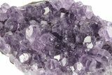 Sparking, Purple, Amethyst Crystal Cluster - Uruguay #249555-2